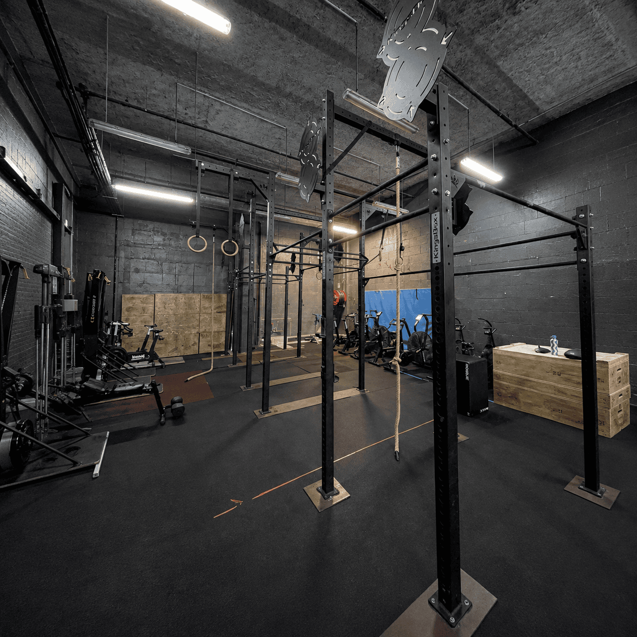Open Gym